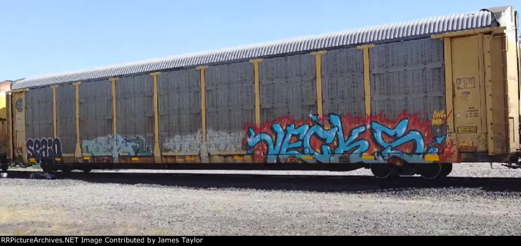 TTGX 987134